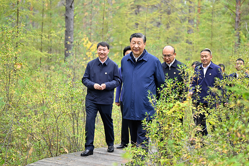 9月6日至8日，中共中央总书记、国家主席、中央军委主席习近平在黑龙江考察。这是6日下午，习近平在大兴安岭地区漠河市漠河林场自然林区考察