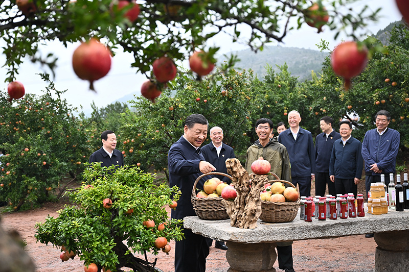 1-231014110211162 J9.COM(中国集团)官方网站